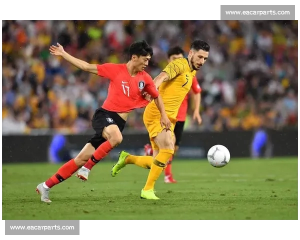 全球世界杯数据中心 全面解析赛事统计与历史记录