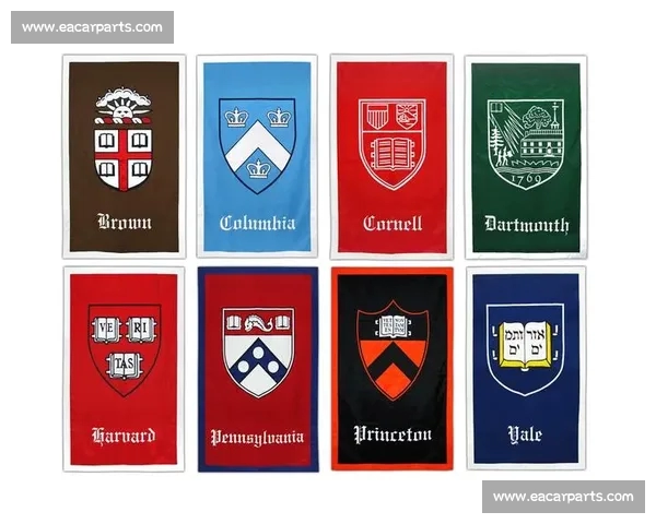 全球体育联盟协作新格局与未来发展趋势全面解析